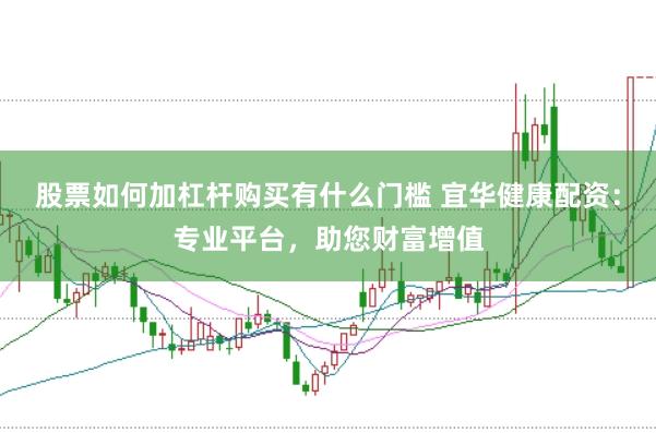 股票如何加杠杆购买有什么门槛 宜华健康配资：专业平台，助您财富增值