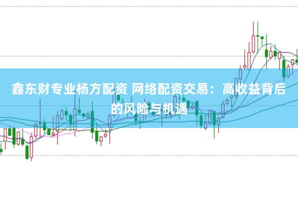鑫东财专业杨方配资 网络配资交易：高收益背后的风险与机遇
