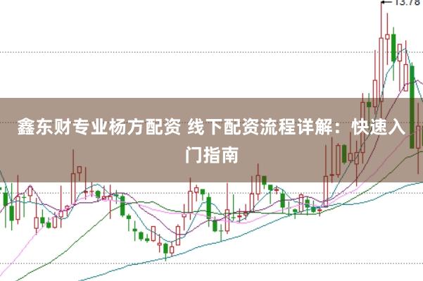 鑫东财专业杨方配资 线下配资流程详解：快速入门指南