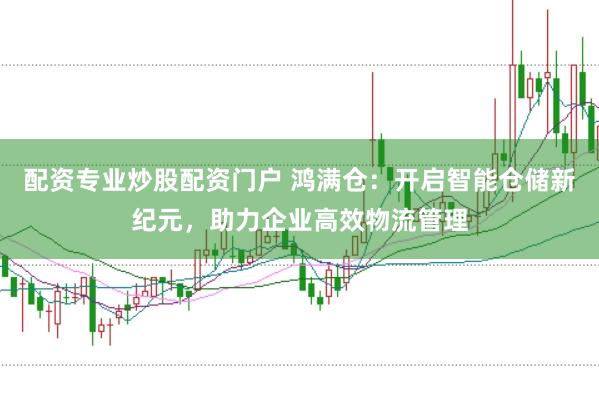 配资专业炒股配资门户 鸿满仓：开启智能仓储新纪元，助力企业高效物流管理