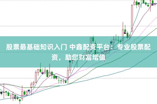 股票最基础知识入门 中鑫配资平台：专业股票配资，助您财富增值