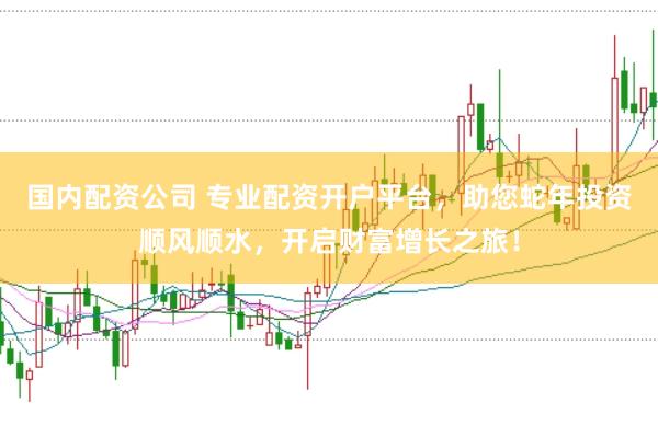 国内配资公司 专业配资开户平台，助您蛇年投资顺风顺水，开启财富增长之旅！