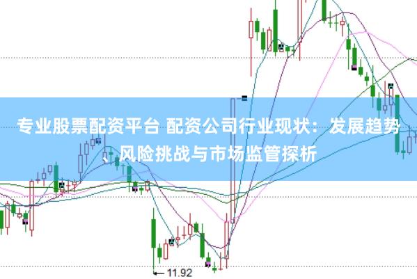 专业股票配资平台 配资公司行业现状：发展趋势、风险挑战与市场监管探析
